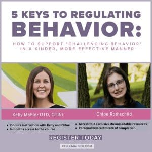The 5 Keys to Behavior Regulation: How to Support ‘Challenging Behavior’ in a Kinder, More Effective Manner