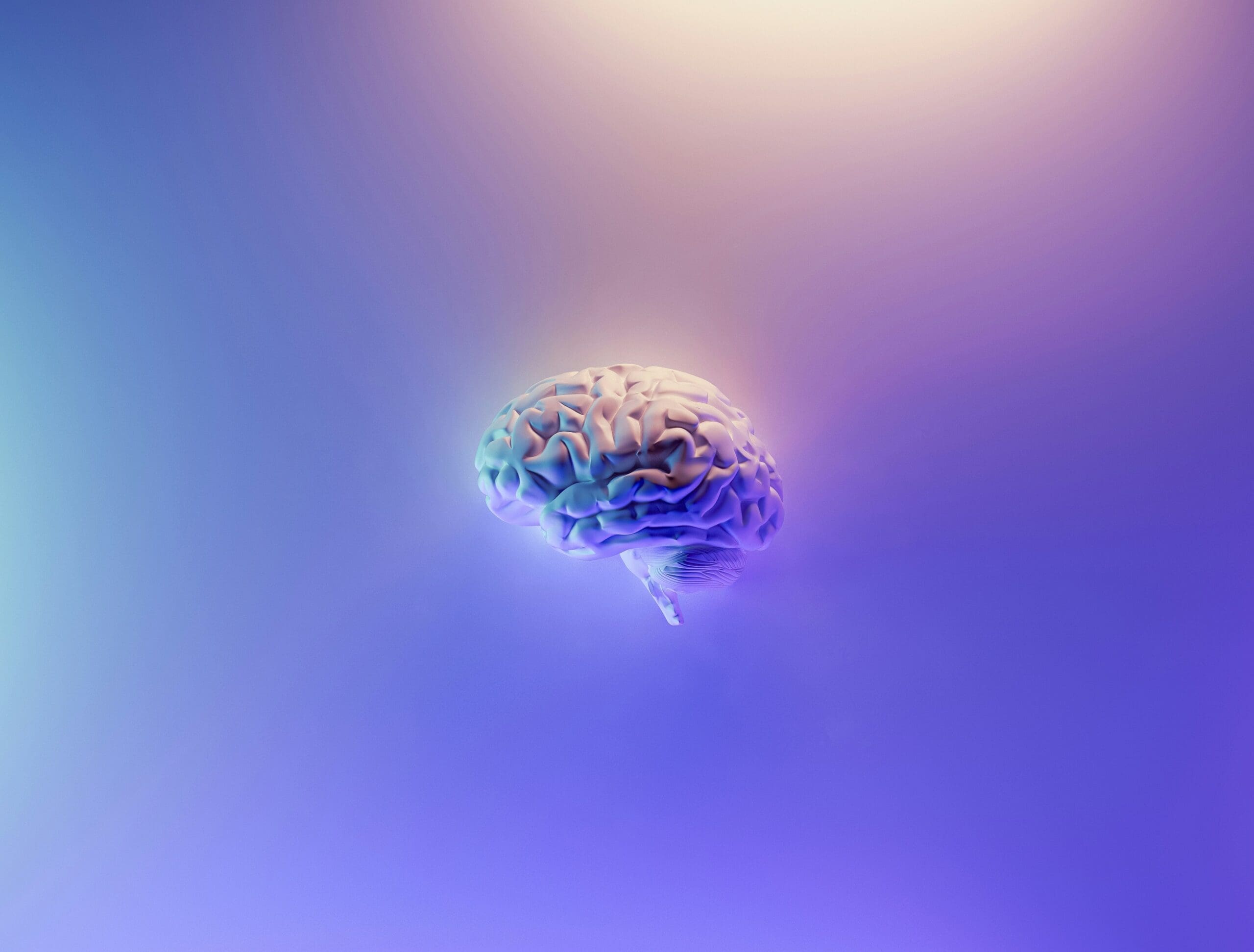 a picture of a brain over a purple background - interoception concussion and traumatic brain injury